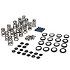 ENGINE VALVE SPRING KIT