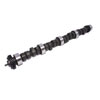 Specialty Hydraulic Flat Tappet Camshaft Lift .433"/.433" Duration 252/252 Lobe Angle 110° - image 1