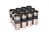 Solid/Mechanical Lifters 1969-Present Small Block Ford 302-351W - image 1