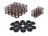 Zex Nitrous ZEX VALVE SPRING AND STEE - image 1