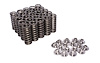 Zex Nitrous ZEX VALVE SPRING AND TI R - image 1