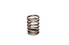 Single Outer Valve Spring Rate: 280 lbs - image 1