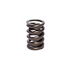 Single Outer Valve Spring Rate: 373 lbs - image 1