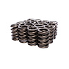 Single Outer Valve Springs Rate: 373 lbs - image 1