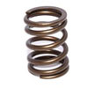 ACURA B18 OUTER SPRING - image 1