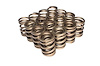 Dual Valve Springs Outer Spring O.D.: 1.171 in. - image 1