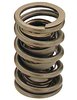 Dual Valve Springs Outer Spring O.D.: 1.567 in. - image 1