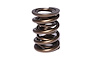 Dual Valve Springs Outer Spring O.D.: 1.565 in. - image 1