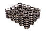 Dual Valve Springs Outer Spring O.D.: 1.509 in. - image 1
