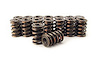 Dual Valve Springs I.D. of Outer Dia.: 1.143" - image 1