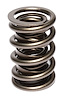 Dual Valve Springs Outer Spring O.D.: 1.554 in. - image 1