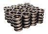 Dual Valve Springs Outer Spring O.D.: 1.554 in. - image 1