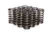 Single Inner Valve Springs Rate: 156 lbs - image 1