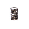 Single Outer Valve Spring Rate: 241 lbs - image 1