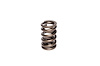 Single Outer Valve Spring Rate: 454 lbs - image 1