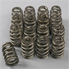 NASCAR SPRINGS - image 1