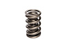 Dual Valve Springs Outer Spring O.D.: 1.536 in. - image 1