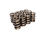 Dual Valve Springs Outer Spring O.D.: 1.565 in. - image 1