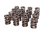 Dual Valve Springs Outer Spring O.D.: 1.565 in. - image 1