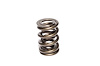 Dual Valve Springs Outer Spring O.D.: 1.660 in. - image 1