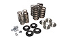 HARLEY VALVE SPRING KIT - image 1