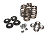 HARLEY VALVE SPRING KIT - image 1