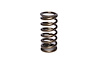 Single Inner Valve Spring Rate: 134 lbs - image 1