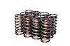 Single Inner Valve Springs Rate: 96 lbs - image 1