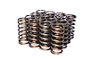 Single Inner Valve Springs Rate: 96 lbs - image 1