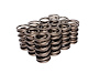 Dual Valve Springs Outer Spring O.D.: 1.460 in. - image 1