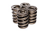Dual Valve Springs Outer Spring O.D.: 1.460 in. - image 1