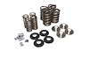 PERFORMANCE VALVE SPRING - image 1