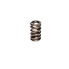 Single Outer Valve Spring Rate: 373 lbs - image 1