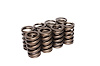 Single Outer Valve Springs Rate: 373 lbs - image 1