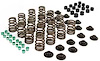 Ovate Wire Single Valve Springs Valve Spring Kit - image 1