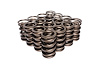 Dual Valve Springs Outer Spring O.D.: 1.430 in. - image 1