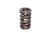 Dual Valve Springs Outer Spring O.D.: 1.384 in. - image 1
