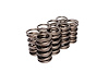 Dual Valve Springs Outer Spring O.D.: 1.384 in. - image 1