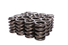 Single Outer Valve Springs Rate: 269 lbs - image 1