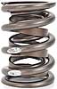 Dual Valve Springs Outer Spring O.D.: 1.650 in. - image 2