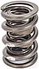 Dual Valve Springs Outer Spring O.D.: 1.650 in. - image 3