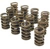Dual Valve Springs Outer Spring O.D.: 1.437 in. - image 1