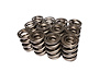 Dual Valve Springs Outer Spring O.D.: 1.638 in. - image 1