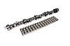 XFI Hydraulic Roller Camshaft and Lifter Kit GM LT1 & LT4 350ci 1995-97 Lift: .584"/.579" With 1.6 Rockers - image 1