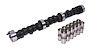 High Energy 252H Hydraulic Flat Tappet Camshaft & Lifter Kit Lift .425"/.425" Duration 252°/252° RPM Range 800-4800 Lobe 110° - image 1