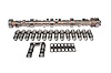 Magnum Mechanical Roller Cam and Lifter Kit Ford 351C, 351M-400M 1970-1982 Lift: .636"/.636" - image 1