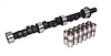 High Energy 252H Hydraulic Flat Tappet Camshaft & Lifter Kit Lift: .438" /.438" Duration: 252°/252° RPM Range: 1000-4800 - image 1