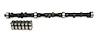 High Energy 252H Hydraulic Flat Tappet Camshaft & Lifter Kit Lift: .425" /.425" Duration: 252°/252° RPM Range: 500-4500