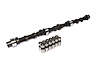 High Energy 268H Hydraulic Flat Tappet Camshaft & Lifter Kit Lift: .456" /.456" Duration: 268°/268° RPM Range: 1200-5200 - image 1
