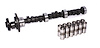 High Energy 252H Hydraulic Flat Tappet Camshaft & Lifter Kit Lift: .425" /.425" Duration: 252°/252° RPM Range: 1000-4800